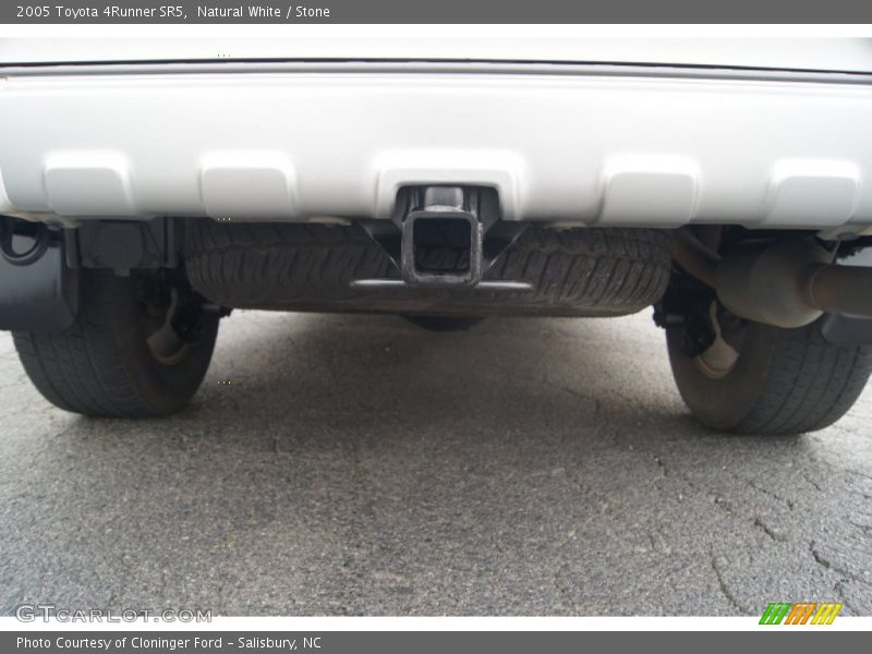 Natural White / Stone 2005 Toyota 4Runner SR5