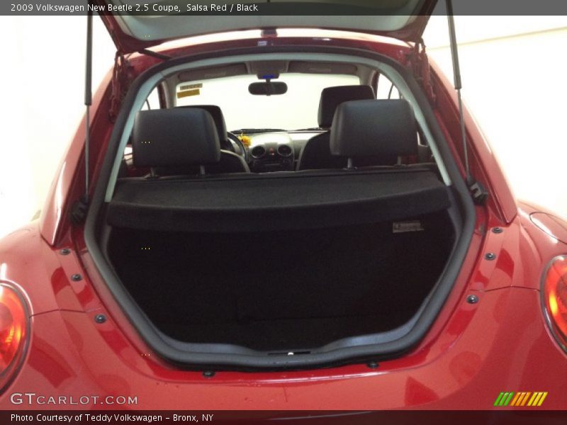 Salsa Red / Black 2009 Volkswagen New Beetle 2.5 Coupe
