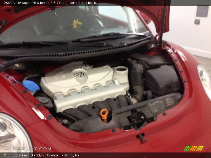 Salsa Red / Black 2009 Volkswagen New Beetle 2.5 Coupe