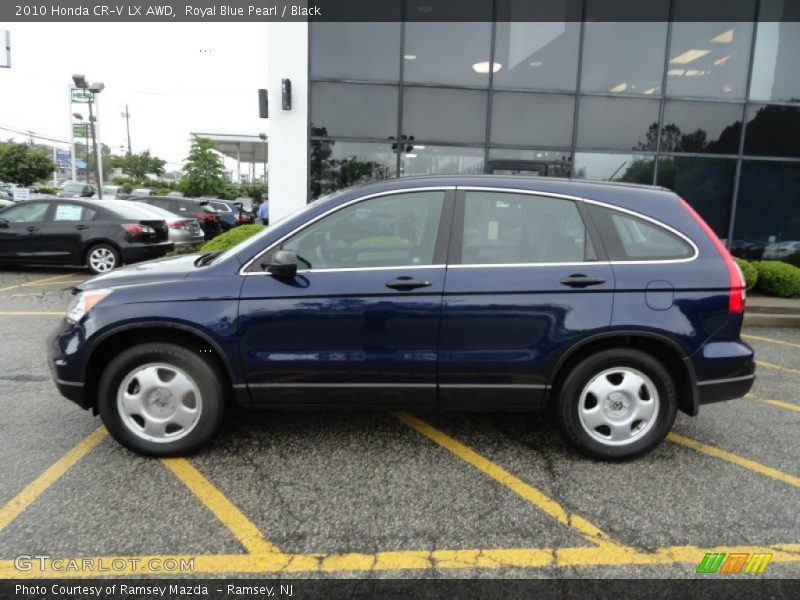 Royal Blue Pearl / Black 2010 Honda CR-V LX AWD