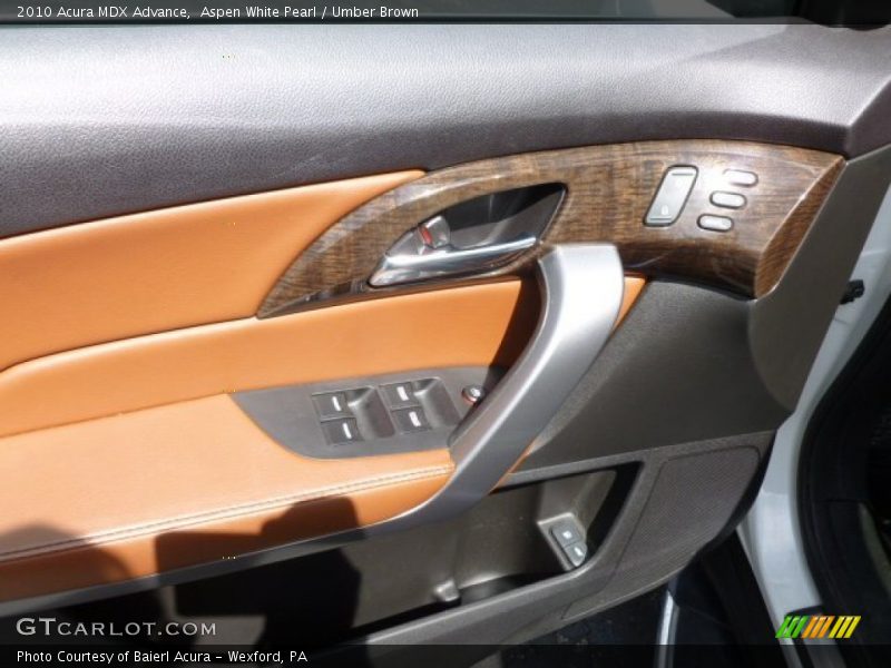 Door Panel of 2010 MDX Advance