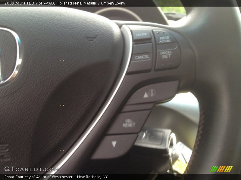 Polished Metal Metallic / Umber/Ebony 2009 Acura TL 3.7 SH-AWD