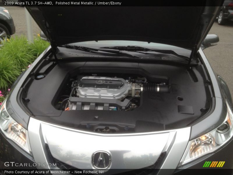 Polished Metal Metallic / Umber/Ebony 2009 Acura TL 3.7 SH-AWD