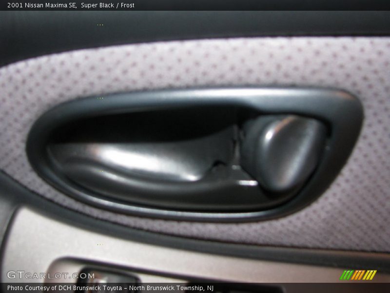 Super Black / Frost 2001 Nissan Maxima SE