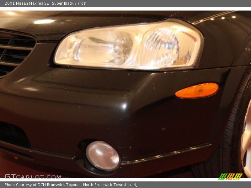 Super Black / Frost 2001 Nissan Maxima SE
