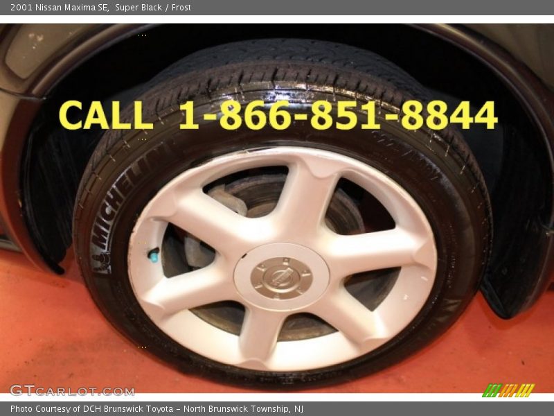 Super Black / Frost 2001 Nissan Maxima SE