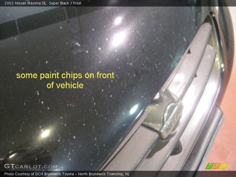 Super Black / Frost 2001 Nissan Maxima SE