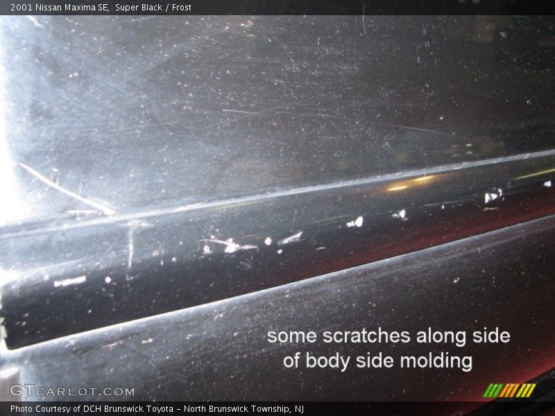 Super Black / Frost 2001 Nissan Maxima SE