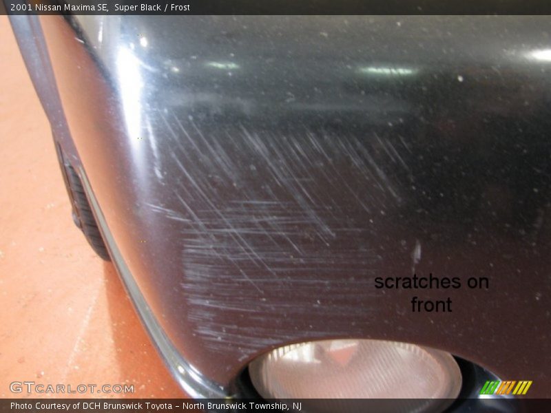 Super Black / Frost 2001 Nissan Maxima SE