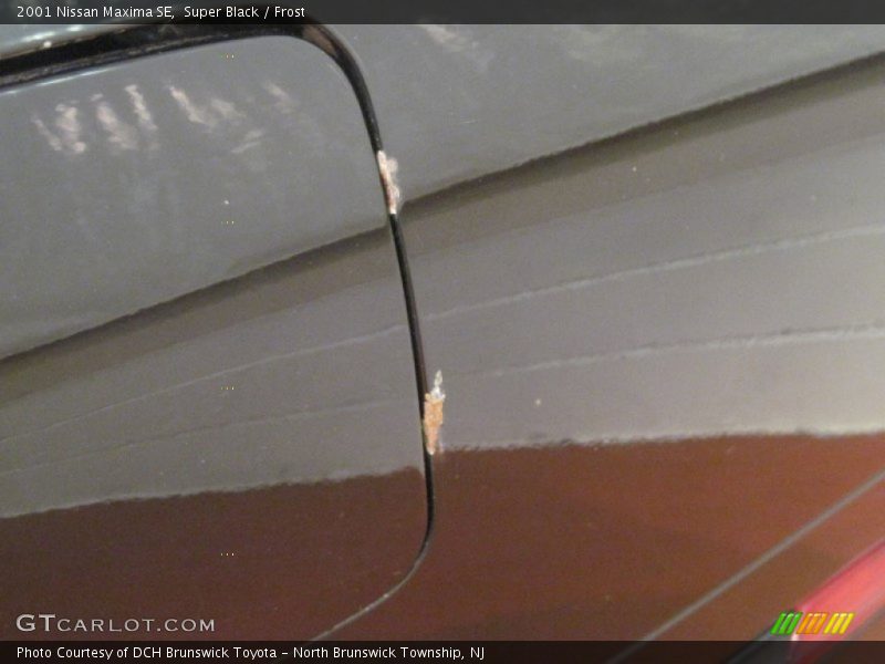 Super Black / Frost 2001 Nissan Maxima SE