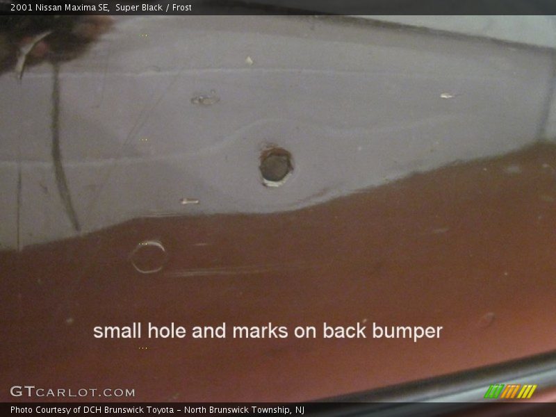Super Black / Frost 2001 Nissan Maxima SE