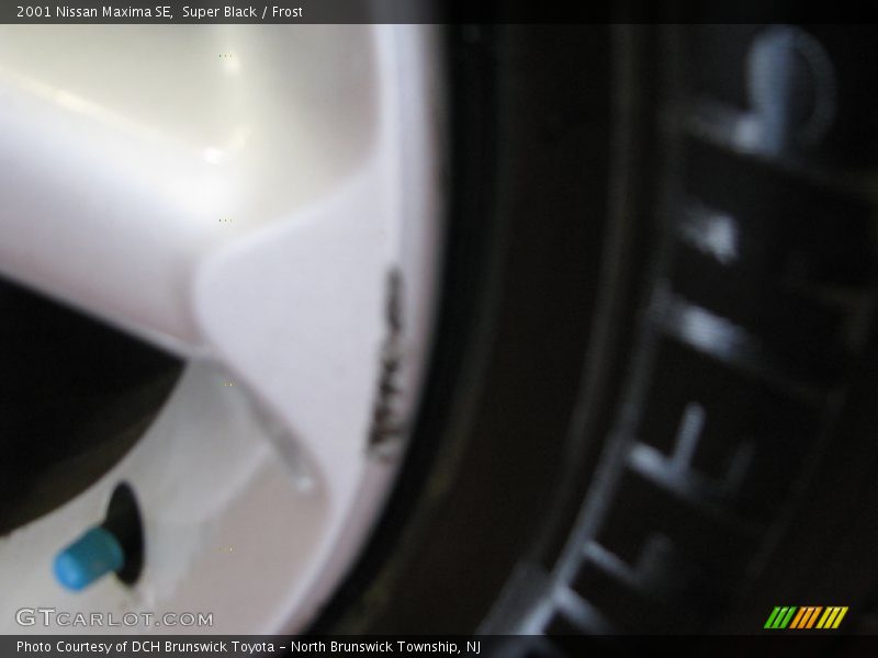 Super Black / Frost 2001 Nissan Maxima SE