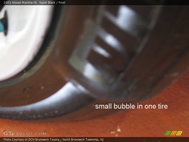Super Black / Frost 2001 Nissan Maxima SE