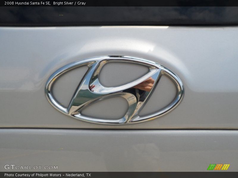 Bright Silver / Gray 2008 Hyundai Santa Fe SE