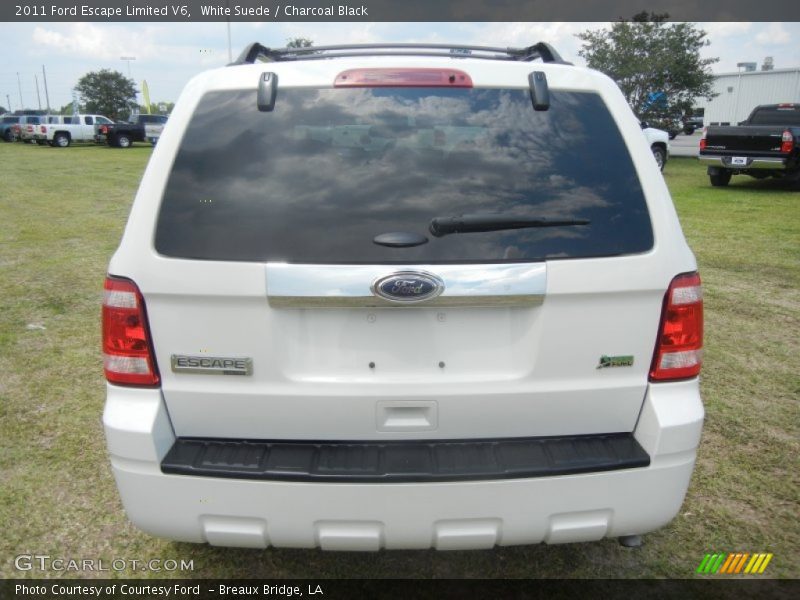White Suede / Charcoal Black 2011 Ford Escape Limited V6
