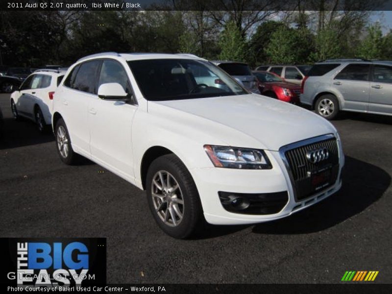 Ibis White / Black 2011 Audi Q5 2.0T quattro