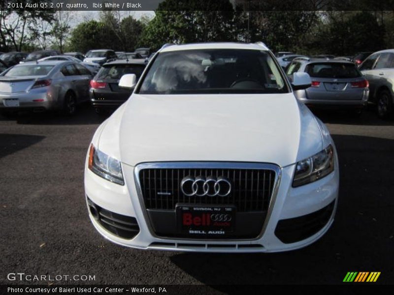 Ibis White / Black 2011 Audi Q5 2.0T quattro