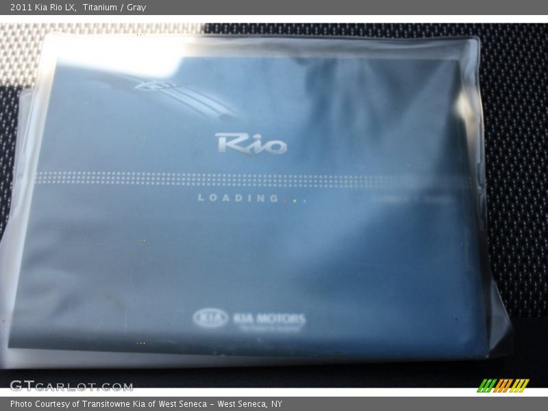 Titanium / Gray 2011 Kia Rio LX