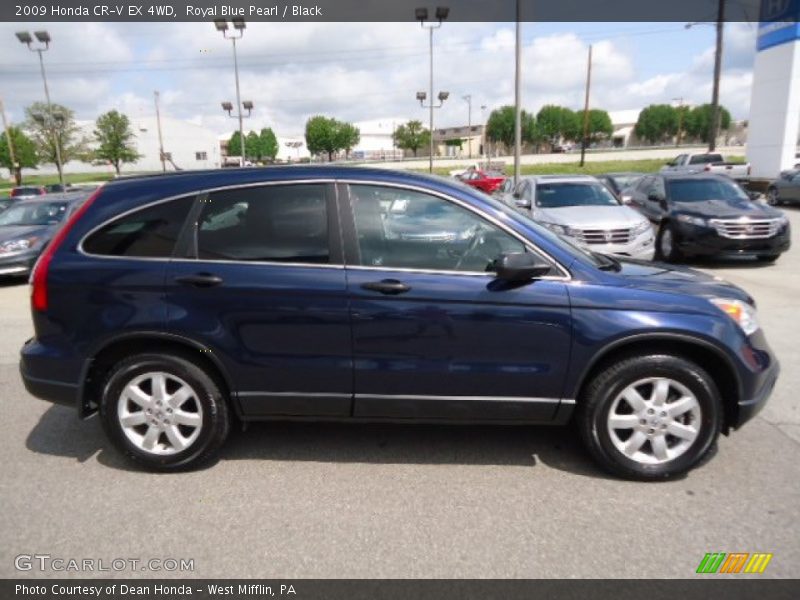 Royal Blue Pearl / Black 2009 Honda CR-V EX 4WD
