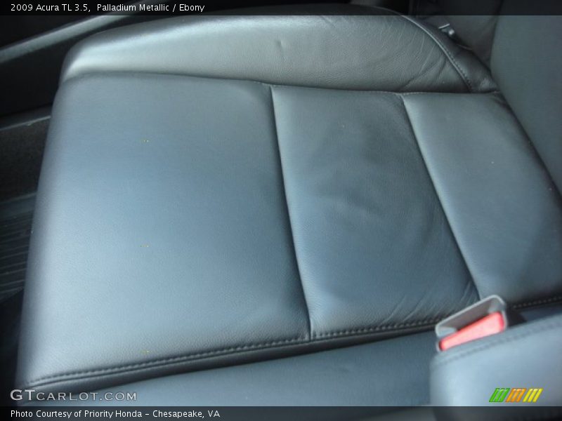 Palladium Metallic / Ebony 2009 Acura TL 3.5