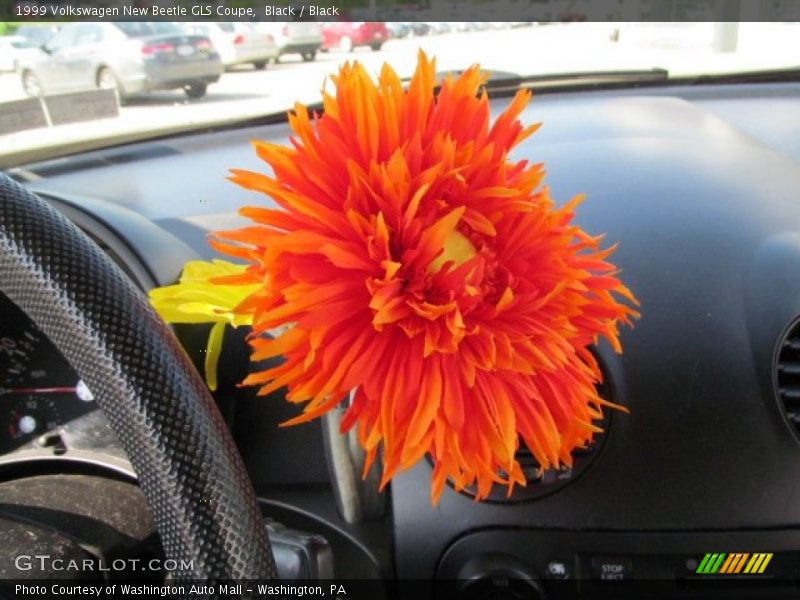Black / Black 1999 Volkswagen New Beetle GLS Coupe