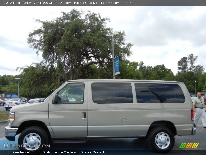 Pueblo Gold Metallic / Medium Pebble 2012 Ford E Series Van E350 XLT Passenger