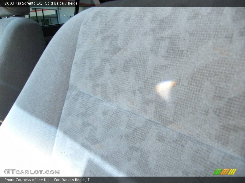 Gold Beige / Beige 2003 Kia Sorento LX