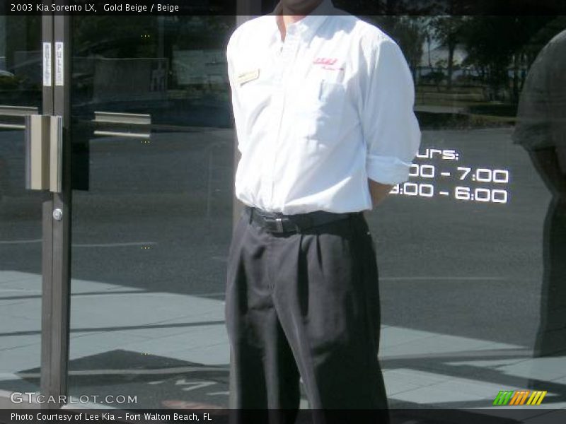 Gold Beige / Beige 2003 Kia Sorento LX
