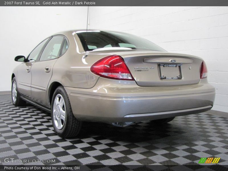 Gold Ash Metallic / Dark Pebble 2007 Ford Taurus SE