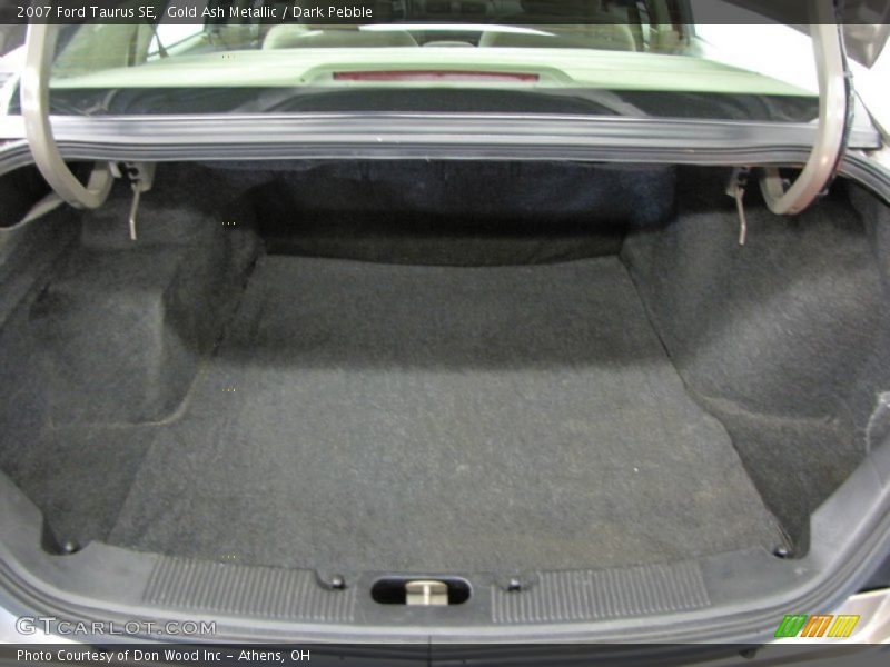 Gold Ash Metallic / Dark Pebble 2007 Ford Taurus SE