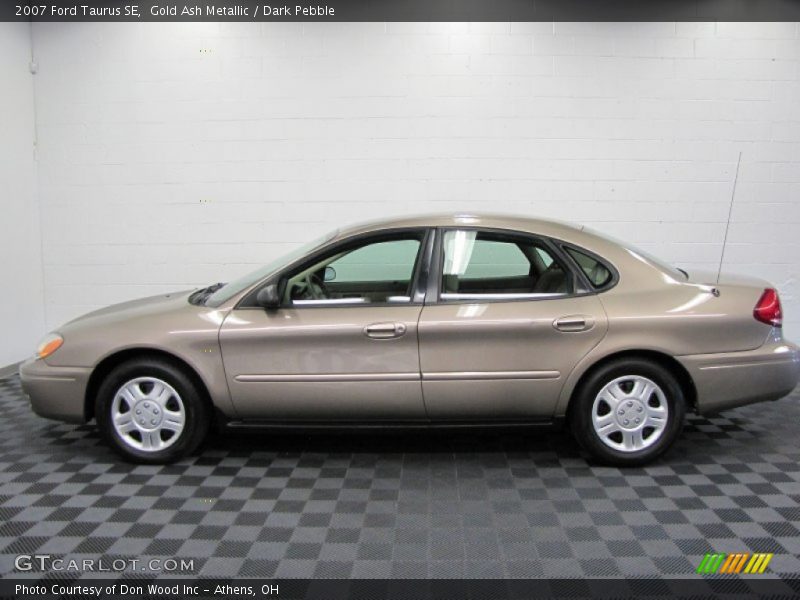 Gold Ash Metallic / Dark Pebble 2007 Ford Taurus SE
