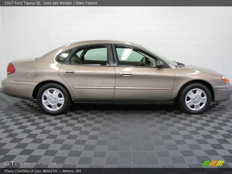 Gold Ash Metallic / Dark Pebble 2007 Ford Taurus SE