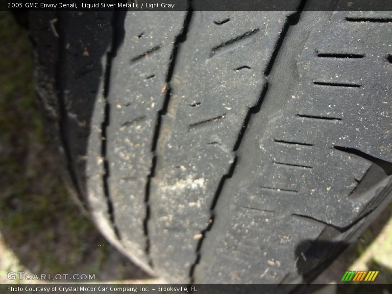 Liquid Silver Metallic / Light Gray 2005 GMC Envoy Denali