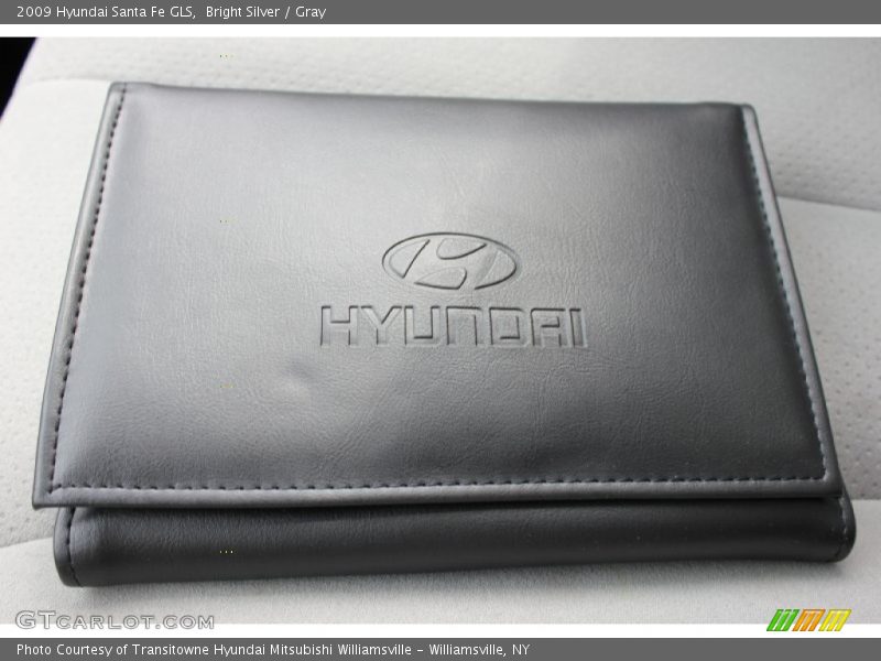 Bright Silver / Gray 2009 Hyundai Santa Fe GLS