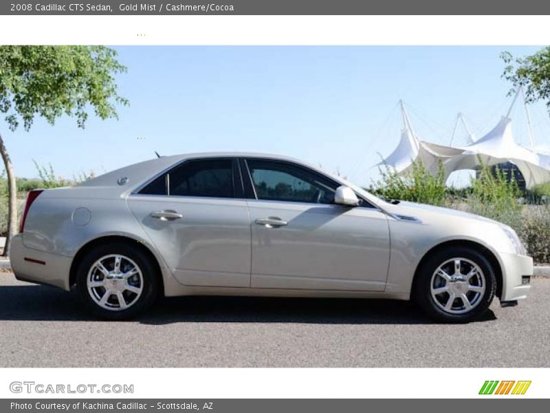 Gold Mist / Cashmere/Cocoa 2008 Cadillac CTS Sedan