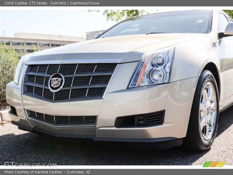 Gold Mist / Cashmere/Cocoa 2008 Cadillac CTS Sedan