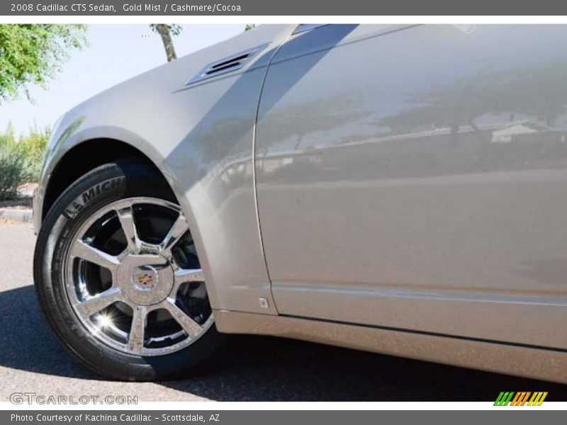 Gold Mist / Cashmere/Cocoa 2008 Cadillac CTS Sedan