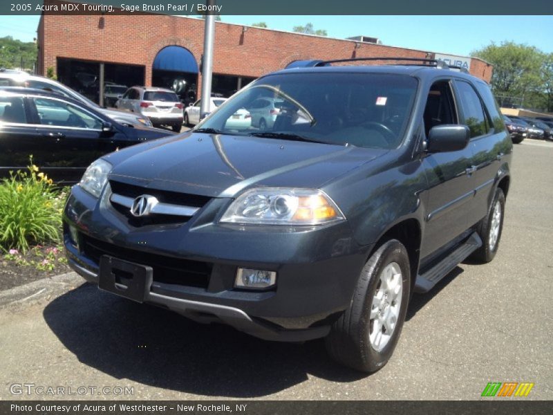 Sage Brush Pearl / Ebony 2005 Acura MDX Touring