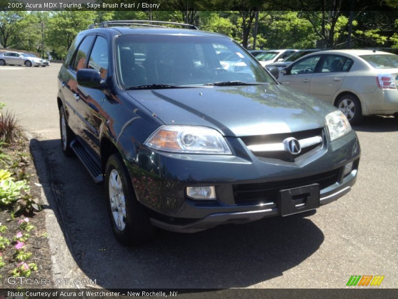 Sage Brush Pearl / Ebony 2005 Acura MDX Touring