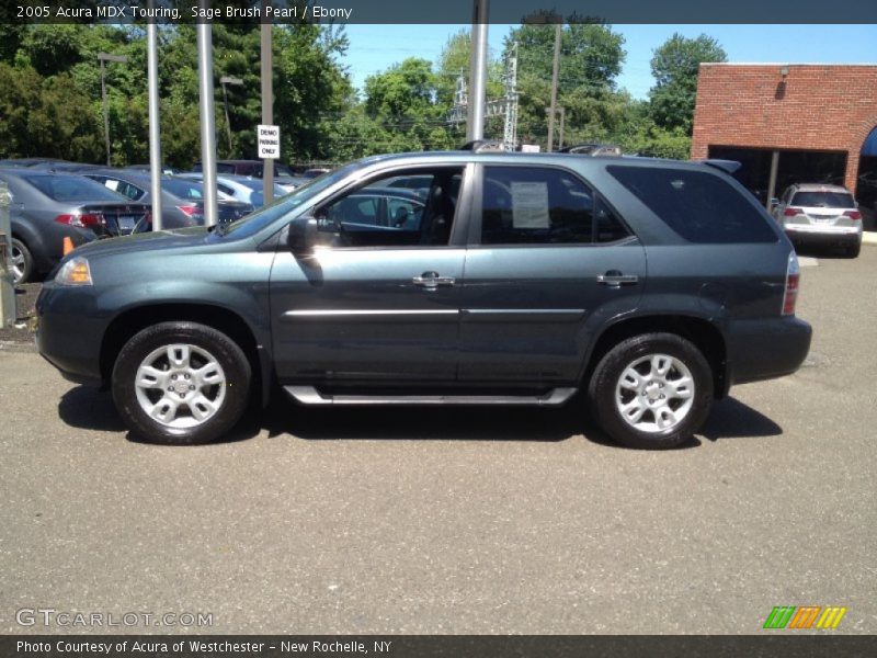 Sage Brush Pearl / Ebony 2005 Acura MDX Touring