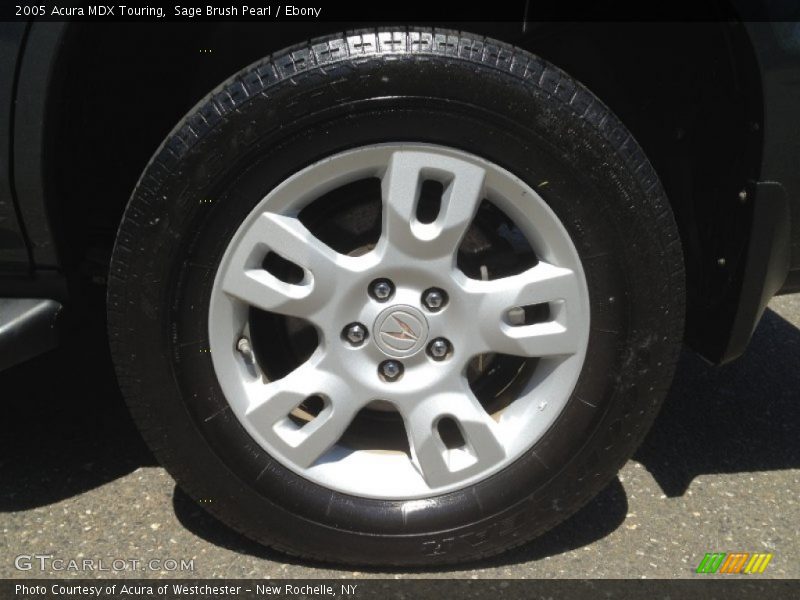 Sage Brush Pearl / Ebony 2005 Acura MDX Touring