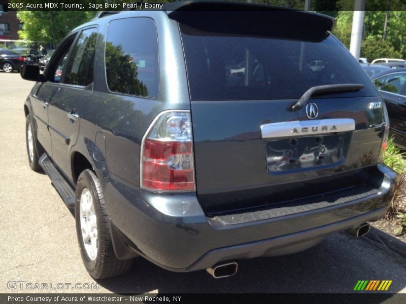 Sage Brush Pearl / Ebony 2005 Acura MDX Touring