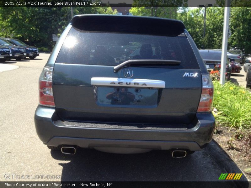 Sage Brush Pearl / Ebony 2005 Acura MDX Touring