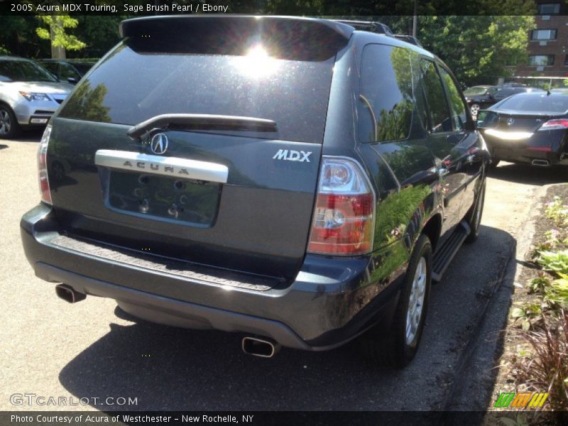 Sage Brush Pearl / Ebony 2005 Acura MDX Touring