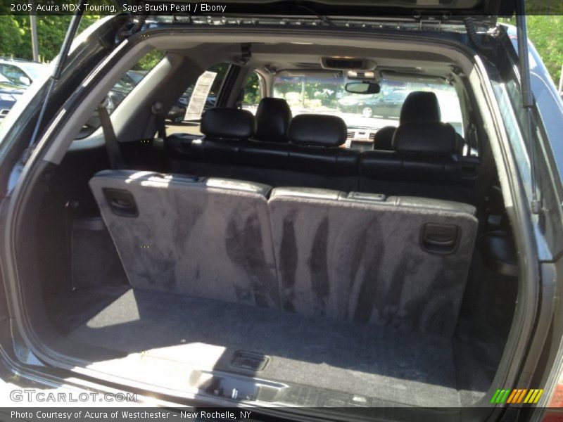 Sage Brush Pearl / Ebony 2005 Acura MDX Touring