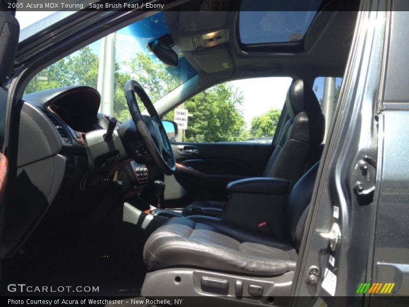 Sage Brush Pearl / Ebony 2005 Acura MDX Touring