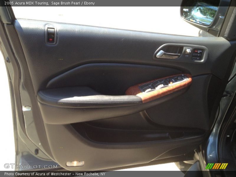 Sage Brush Pearl / Ebony 2005 Acura MDX Touring