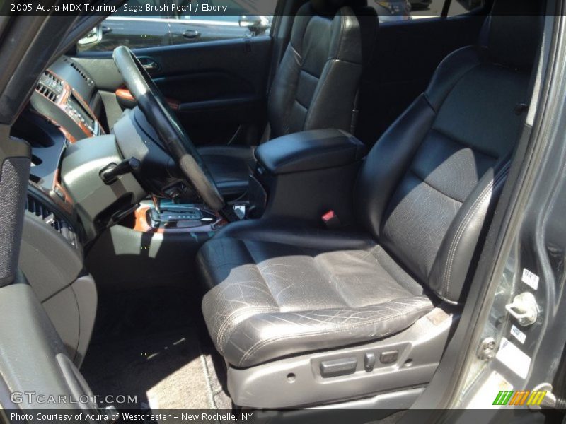 Sage Brush Pearl / Ebony 2005 Acura MDX Touring