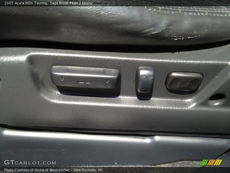 Sage Brush Pearl / Ebony 2005 Acura MDX Touring
