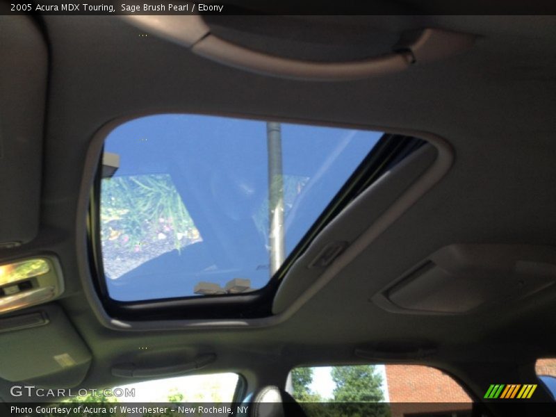 Sage Brush Pearl / Ebony 2005 Acura MDX Touring